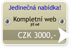 Jedinečná nabídka! Kompletní web již od 3000,-!